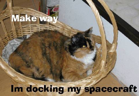 dockingmyspacecraft-halley.jpg