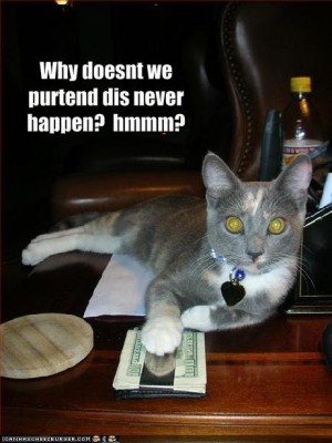 funny-pictures-cat-offers-you-money-to-stay-quiet2