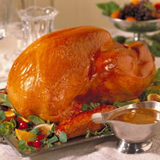 turkey_thanksgiving
