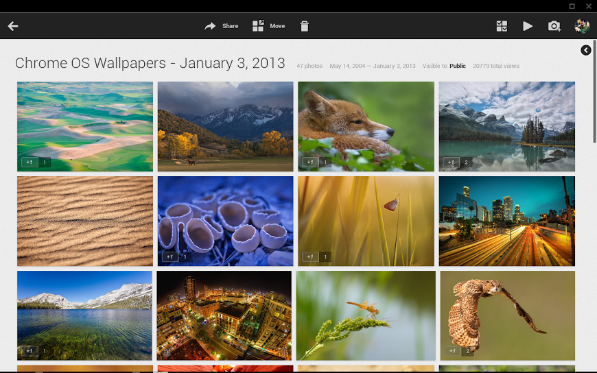 Picasa Web Albums Almost Dead, Now Redirecting Photo Owners To Google+, Too | TechCrunch