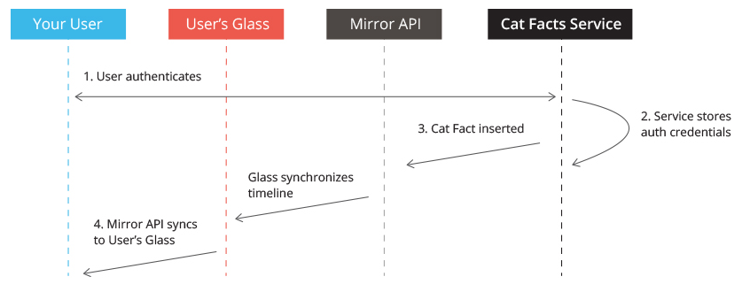cat-facts-on-glass