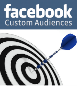 facebook-custom-audiences-results