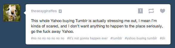 tumblr yahoo comments 2