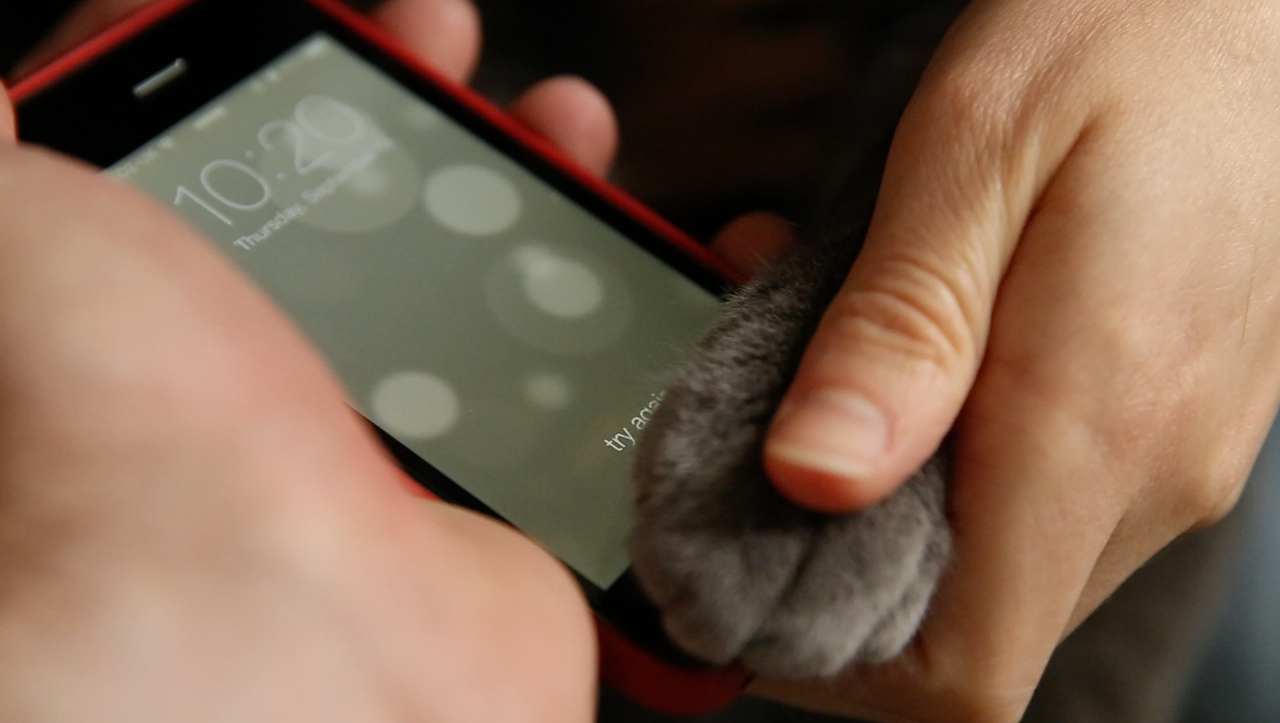 cat-iphone5s-fingerprint
