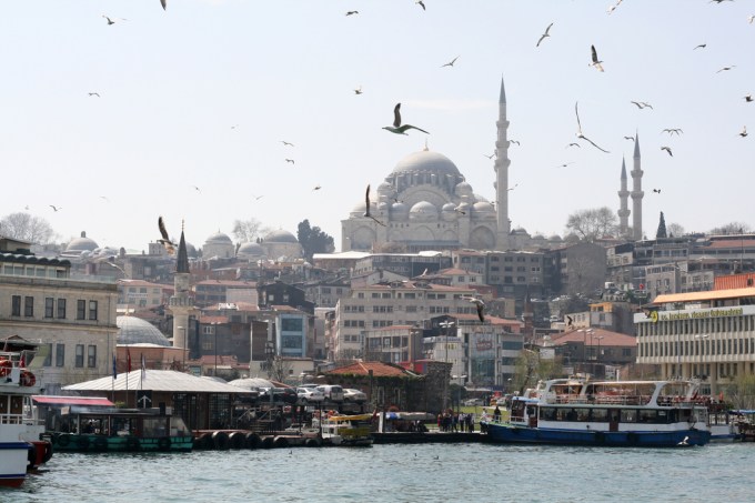 istanbul birds