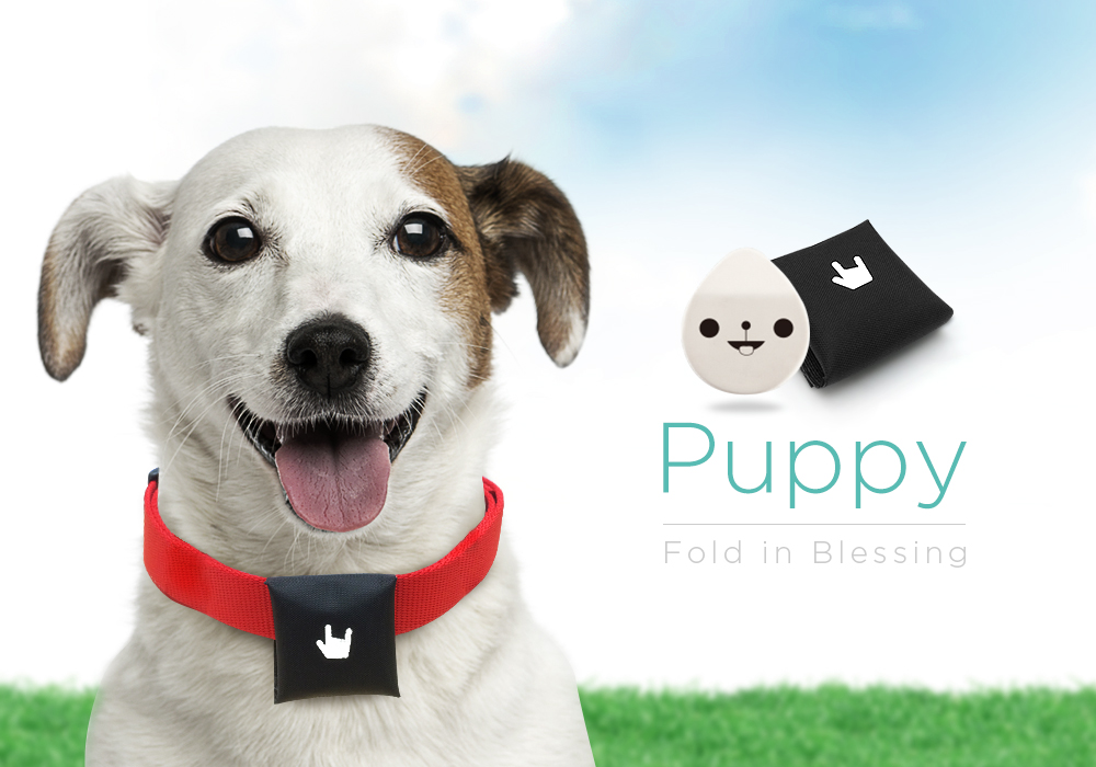 Puppy, an Invisible Petsitter for Your Pets Safety