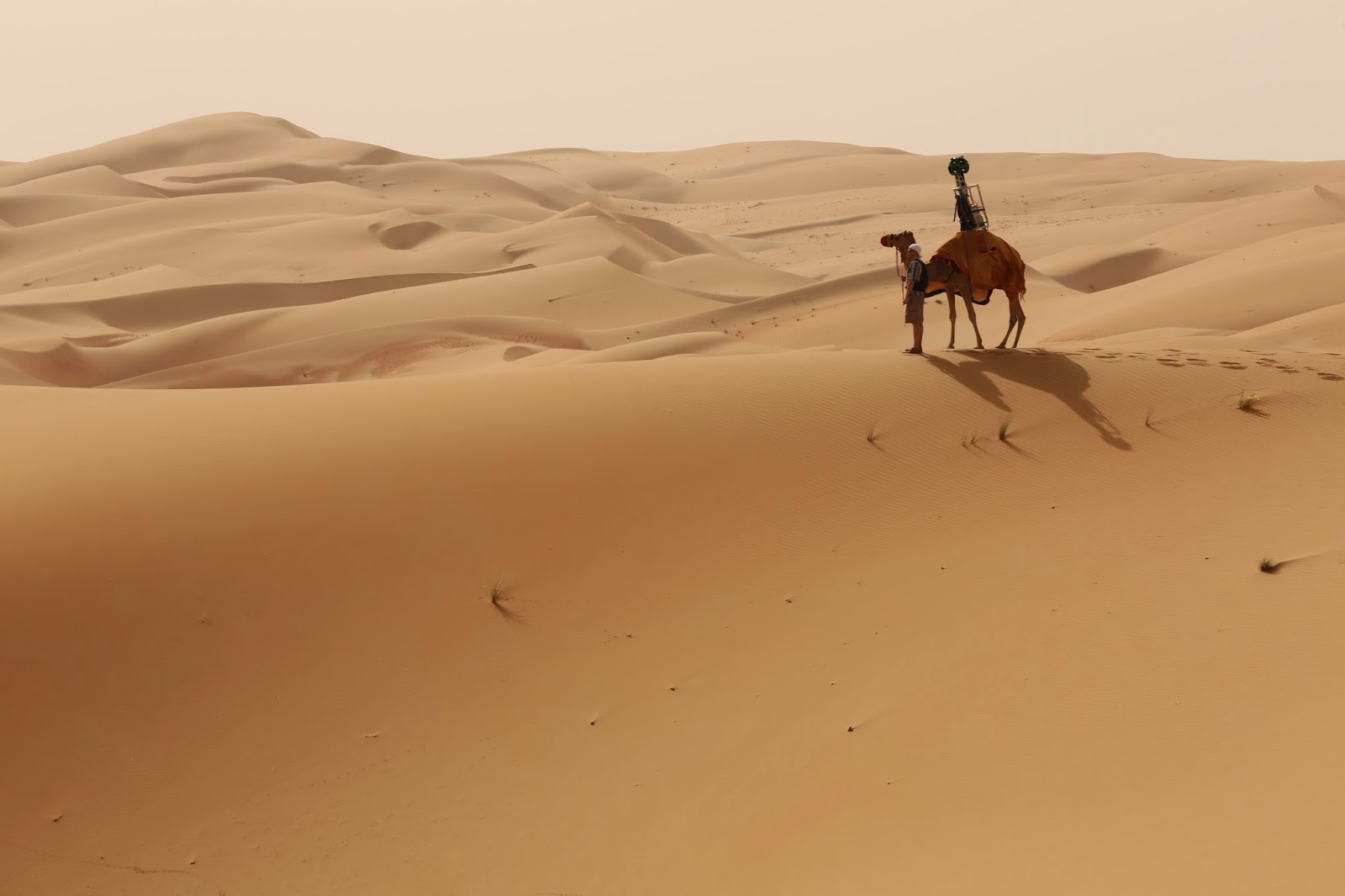 trekker-camel-desert
