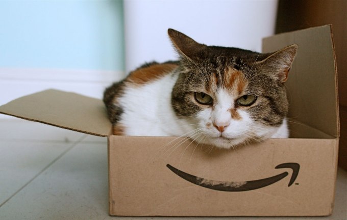 cat in amazon box