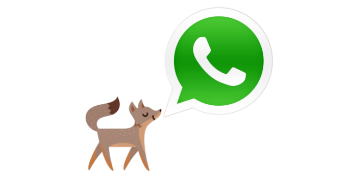 facebook-whatsapp-fox