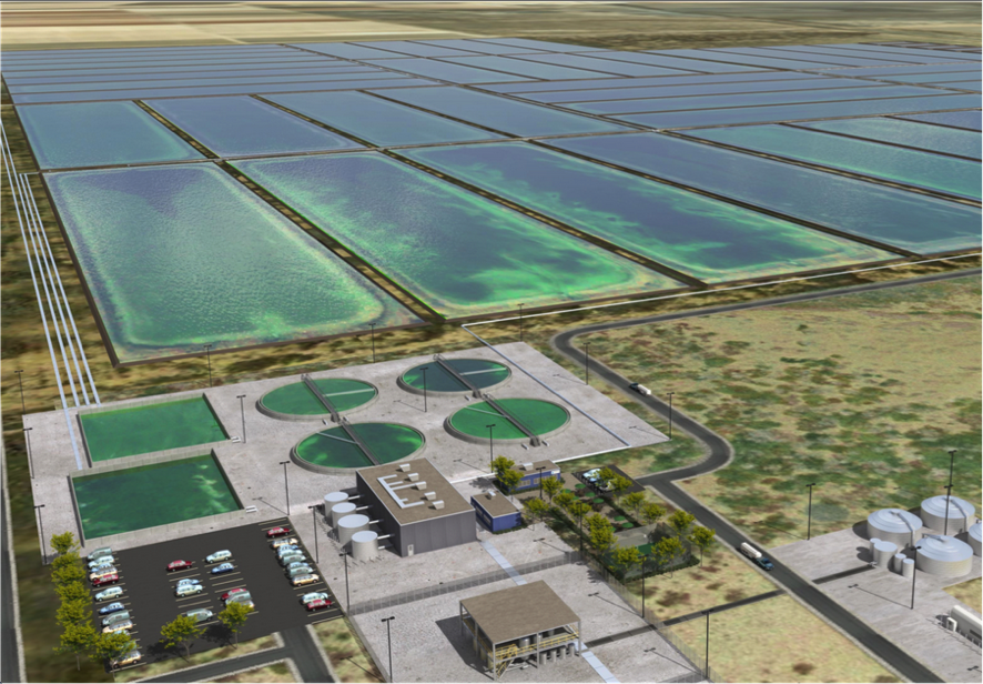 Sapphire Energy’s Algae Field Concept Image (www.saphireenergy.com)
