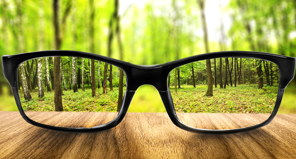 glasses, vision, trees