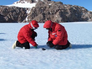 Meteorite discovered in Antarctica / Image courtesy of Antarctic Search for Meteorites Program / Katherine Joy)