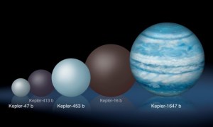 Illustration of several circumbinary planets discovered compared to Kepler-1647b / Image courtesy of NASA