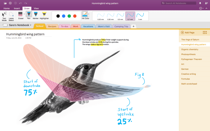 hummingbird screenshot