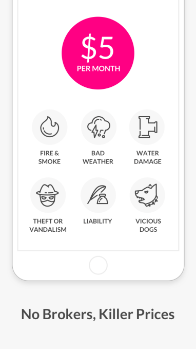 lemonade-app-screenshot-policy