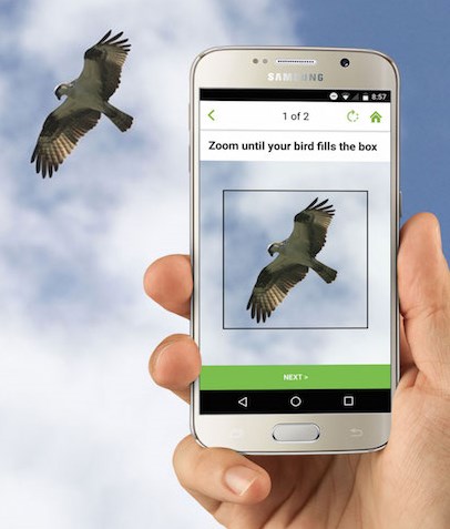 Good luck catching an osprey in flight with your Galaxy S4 though. If it were that close I'd advise ducking instead.
