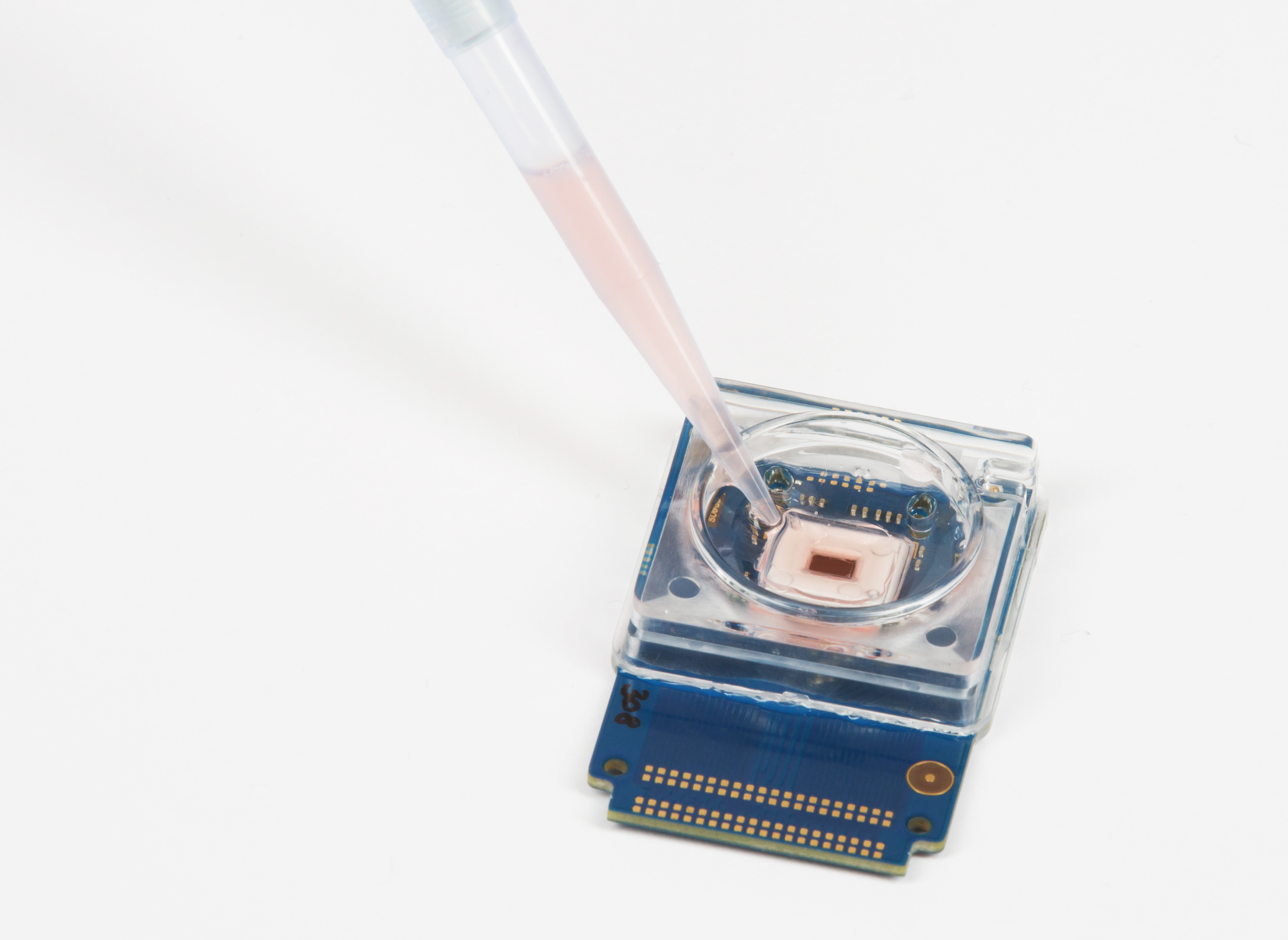 can-q-chip-mit-pipette