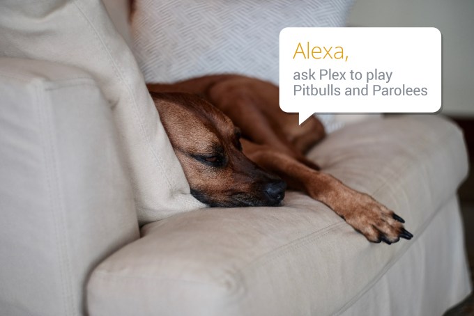 Plex users can now play their movies, TV music just by asking Alexa | TechCrunch