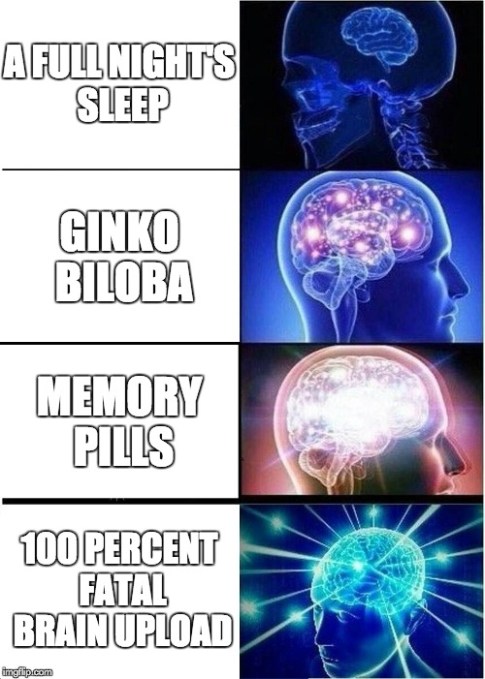 brain meme
